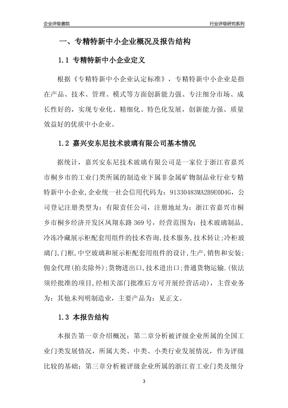 [专精特新]嘉兴安东尼技术玻璃有限公司行业竞争力评级分析报告(2023版)_第3页