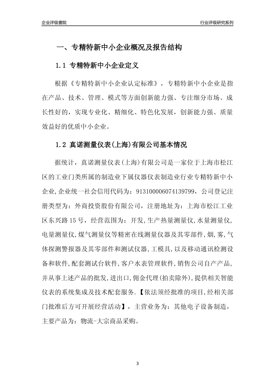[专精特新]真诺测量仪表(上海)有限公司行业竞争力评级分析报告(2023版)_第3页