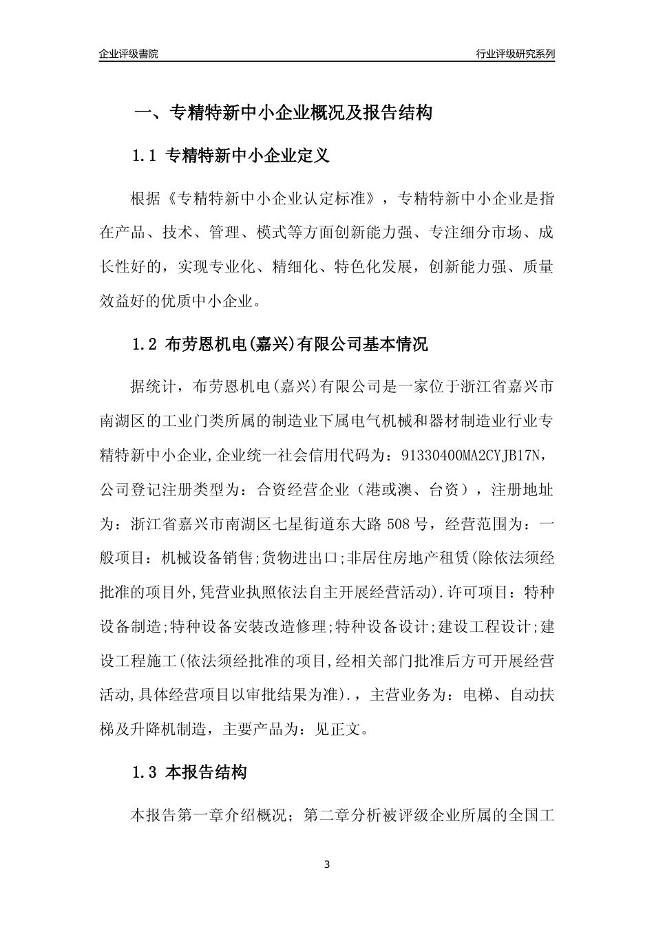 [专精特新]布劳恩机电(嘉兴)有限公司行业竞争力评级分析报告(2023版)_第3页