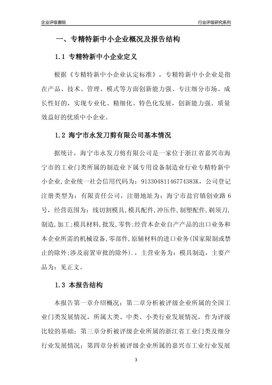 [专精特新]海宁市永发刀剪有限公司行业竞争力评级分析报告(2023版)_第3页