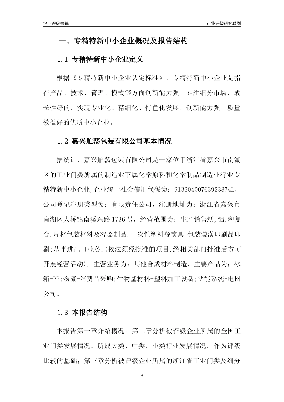 [专精特新]嘉兴雁荡包装有限公司行业竞争力评级分析报告(2023版)_第3页