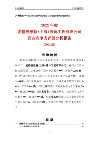 [专精特新]麦格思维特(上海)流体工程有限公司行业竞争力评级分析报告(2023版)