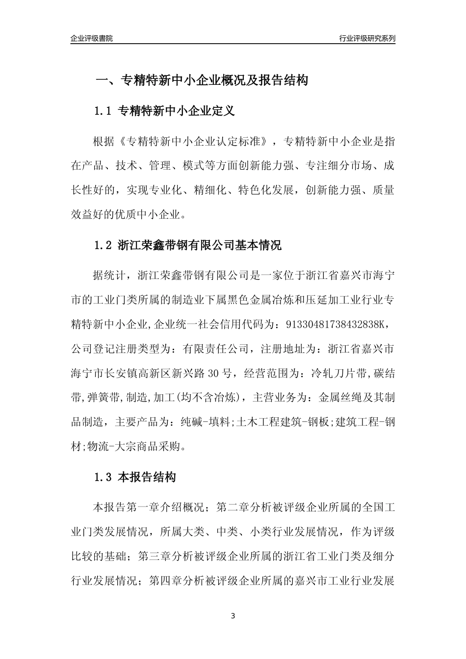 [专精特新]浙江荣鑫带钢有限公司行业竞争力评级分析报告(2023版)_第3页