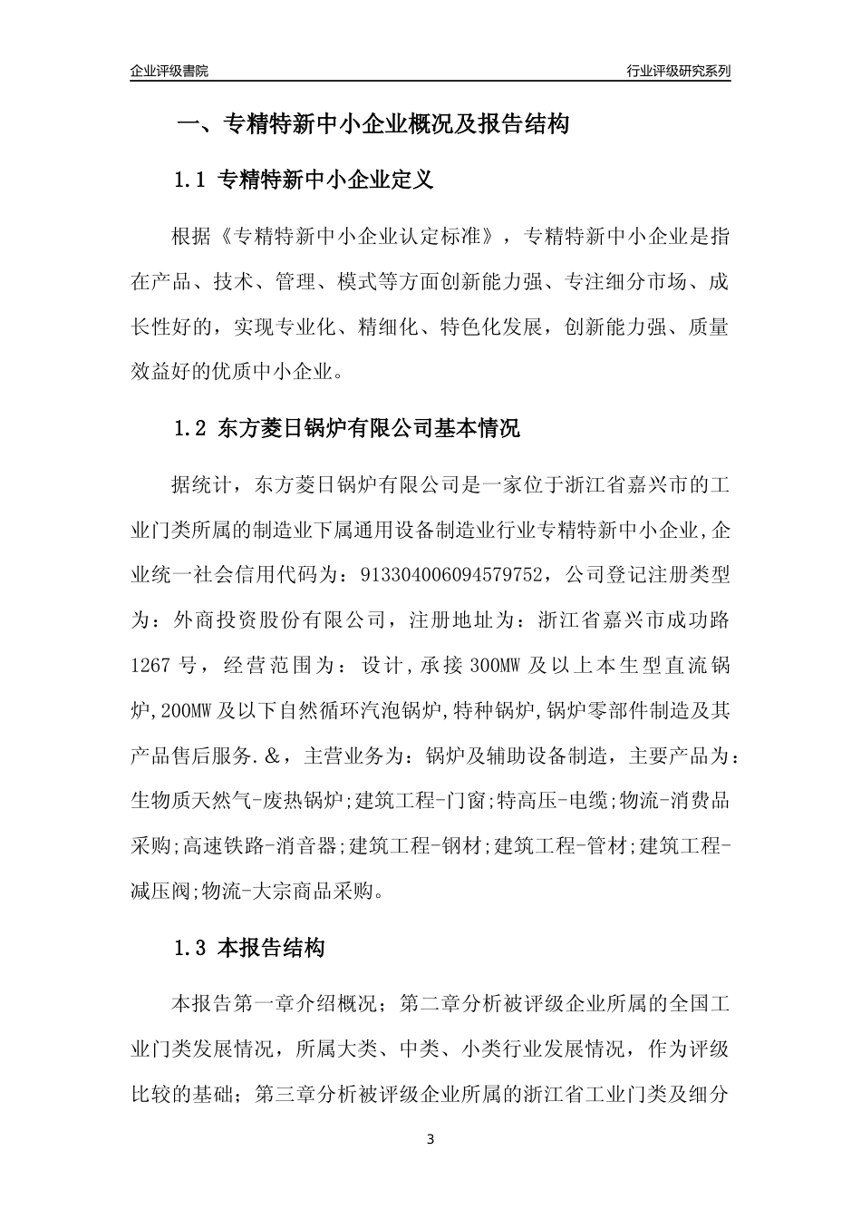 [专精特新]东方菱日锅炉有限公司行业竞争力评级分析报告(2023版)_第3页