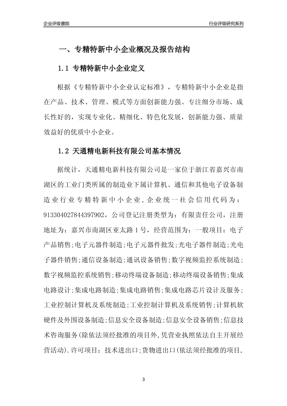 [专精特新]天通精电新科技有限公司行业竞争力评级分析报告(2023版)_第3页