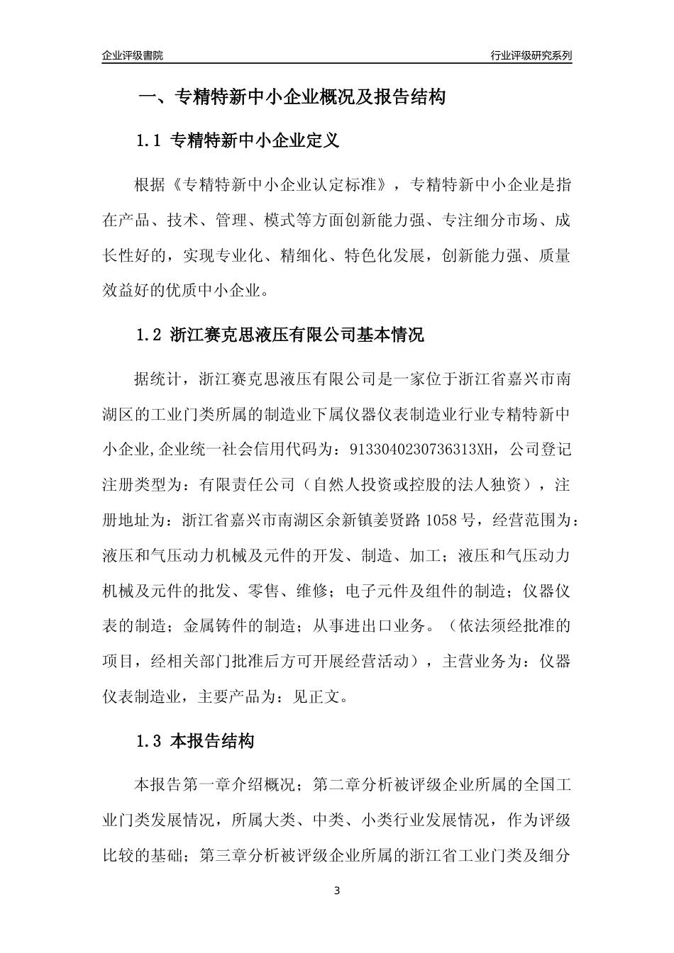 [专精特新]浙江赛克思液压有限公司行业竞争力评级分析报告(2023版)_第3页