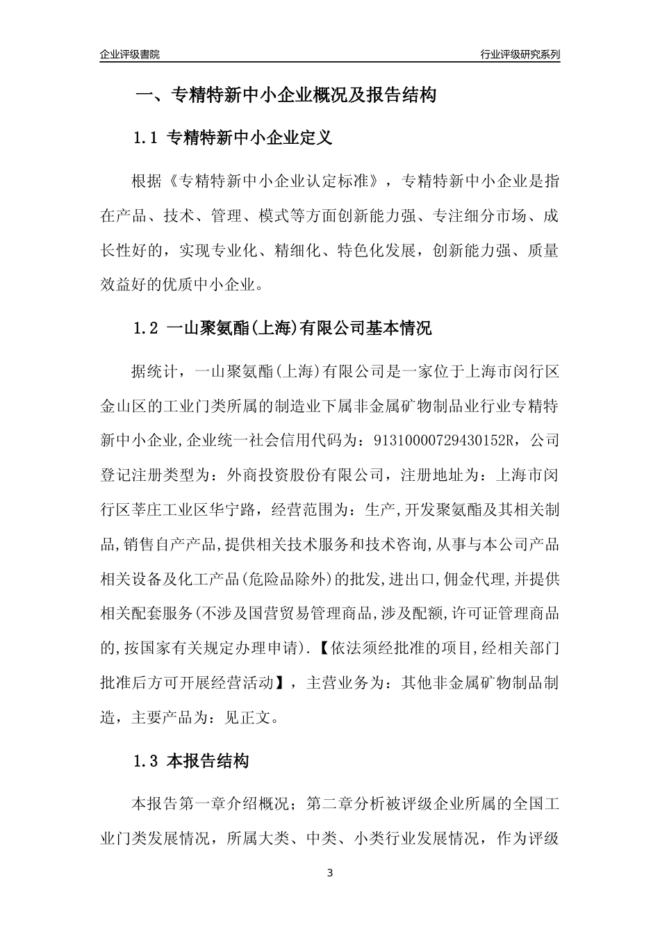 [专精特新]一山聚氨酯(上海)有限公司行业竞争力评级分析报告(2023版)_第3页