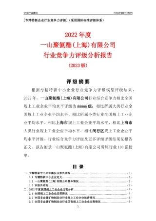 [专精特新]一山聚氨酯(上海)有限公司行业竞争力评级分析报告(2023版)