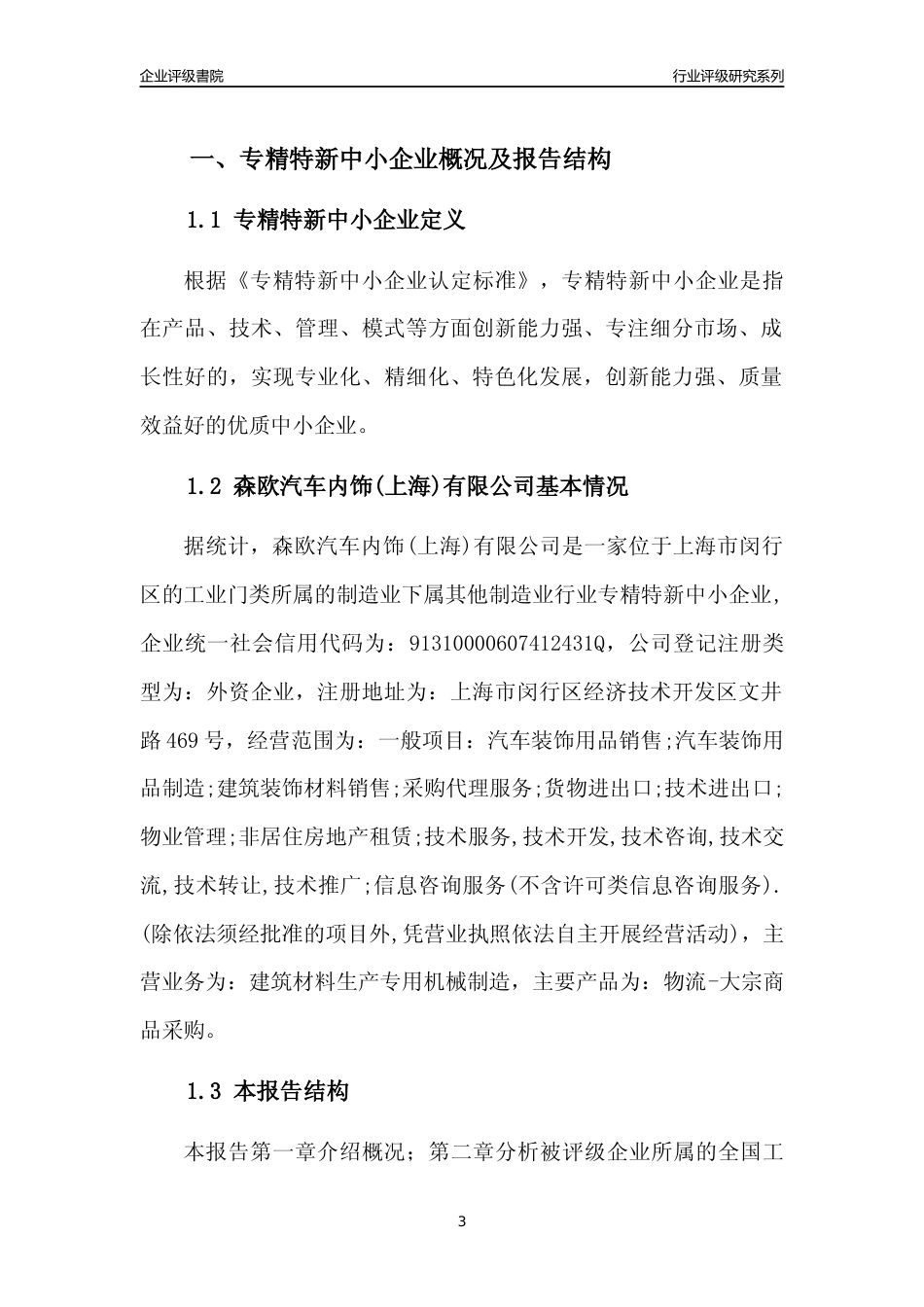 [专精特新]森欧汽车内饰(上海)有限公司行业竞争力评级分析报告(2023版)_第3页
