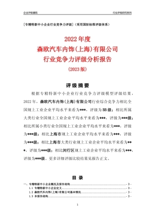 [专精特新]森欧汽车内饰(上海)有限公司行业竞争力评级分析报告(2023版)
