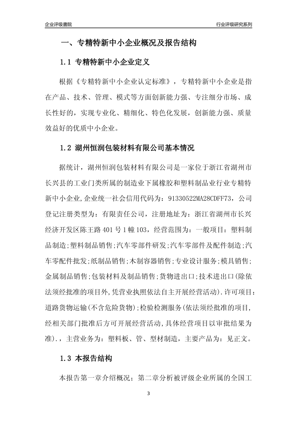 [专精特新]湖州恒润包装材料有限公司行业竞争力评级分析报告(2023版)_第3页