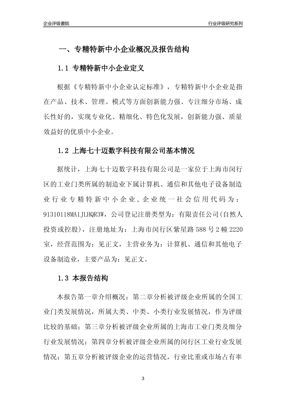 [专精特新]上海七十迈数字科技有限公司行业竞争力评级分析报告(2023版)_第3页
