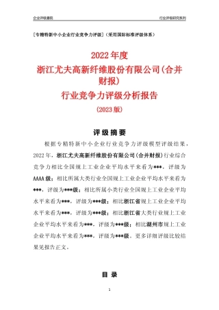 [专精特新]浙江尤夫高新纤维股份有限公司(合并财报)行业竞争力评级分析报告(2023版)