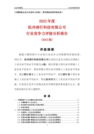 [专精特新]杭州涛行科技有限公司行业竞争力评级分析报告(2023版)