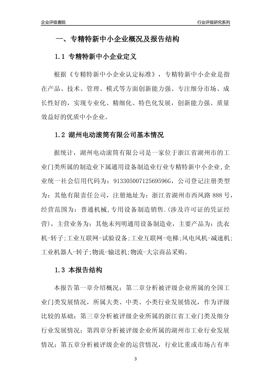 [专精特新]湖州电动滚筒有限公司行业竞争力评级分析报告(2023版)_第3页