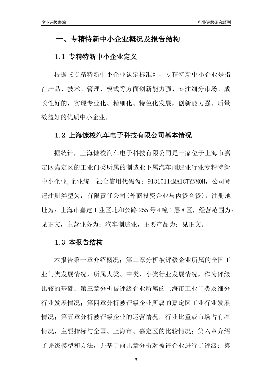 [专精特新]上海慷梭汽车电子科技有限公司行业竞争力评级分析报告(2023版)_第3页