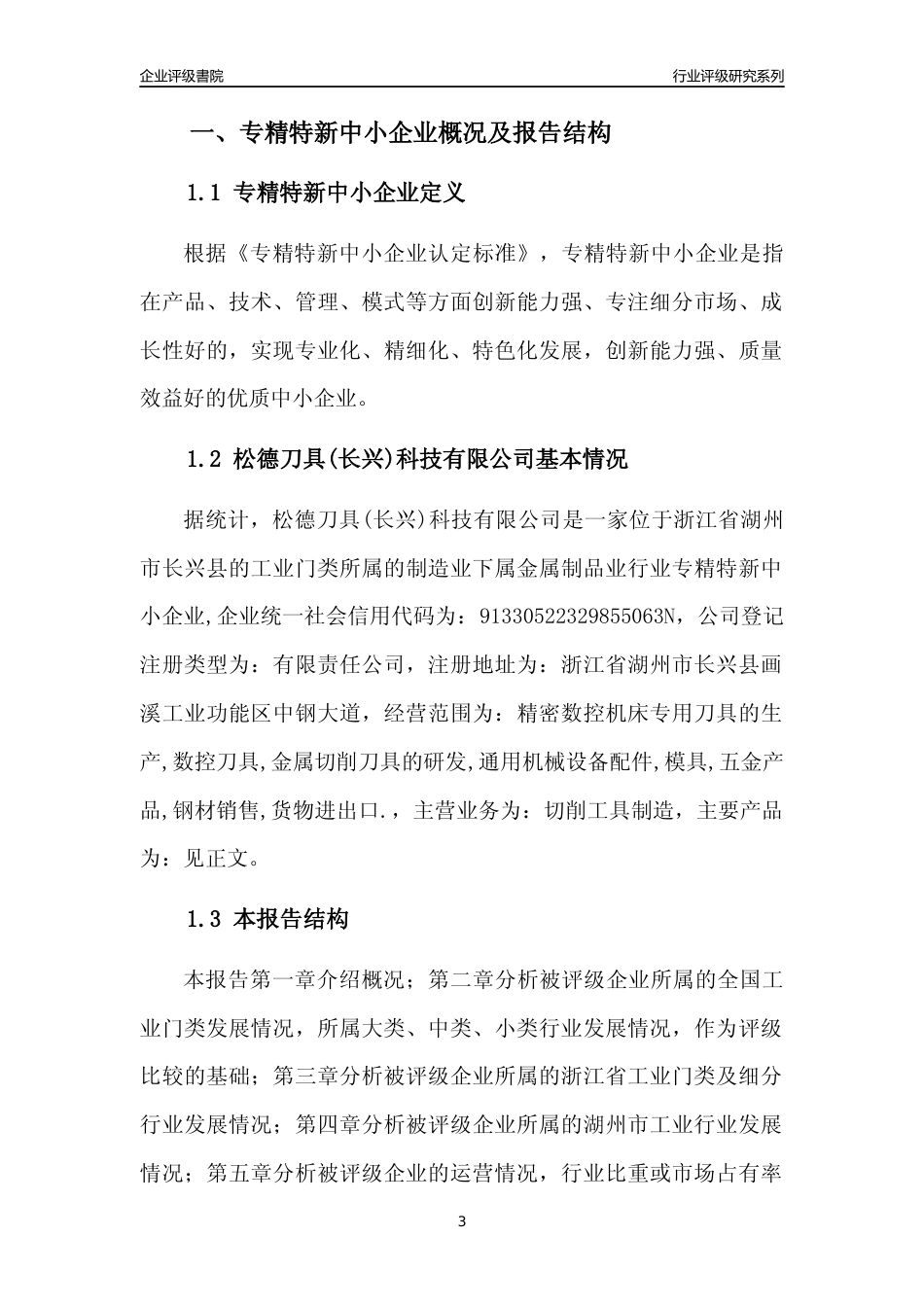 [专精特新]松德刀具(长兴)科技有限公司行业竞争力评级分析报告(2023版)_第3页