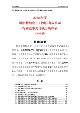 [专精特新]科凯精细化工(上海)有限公司行业竞争力评级分析报告(2023版)