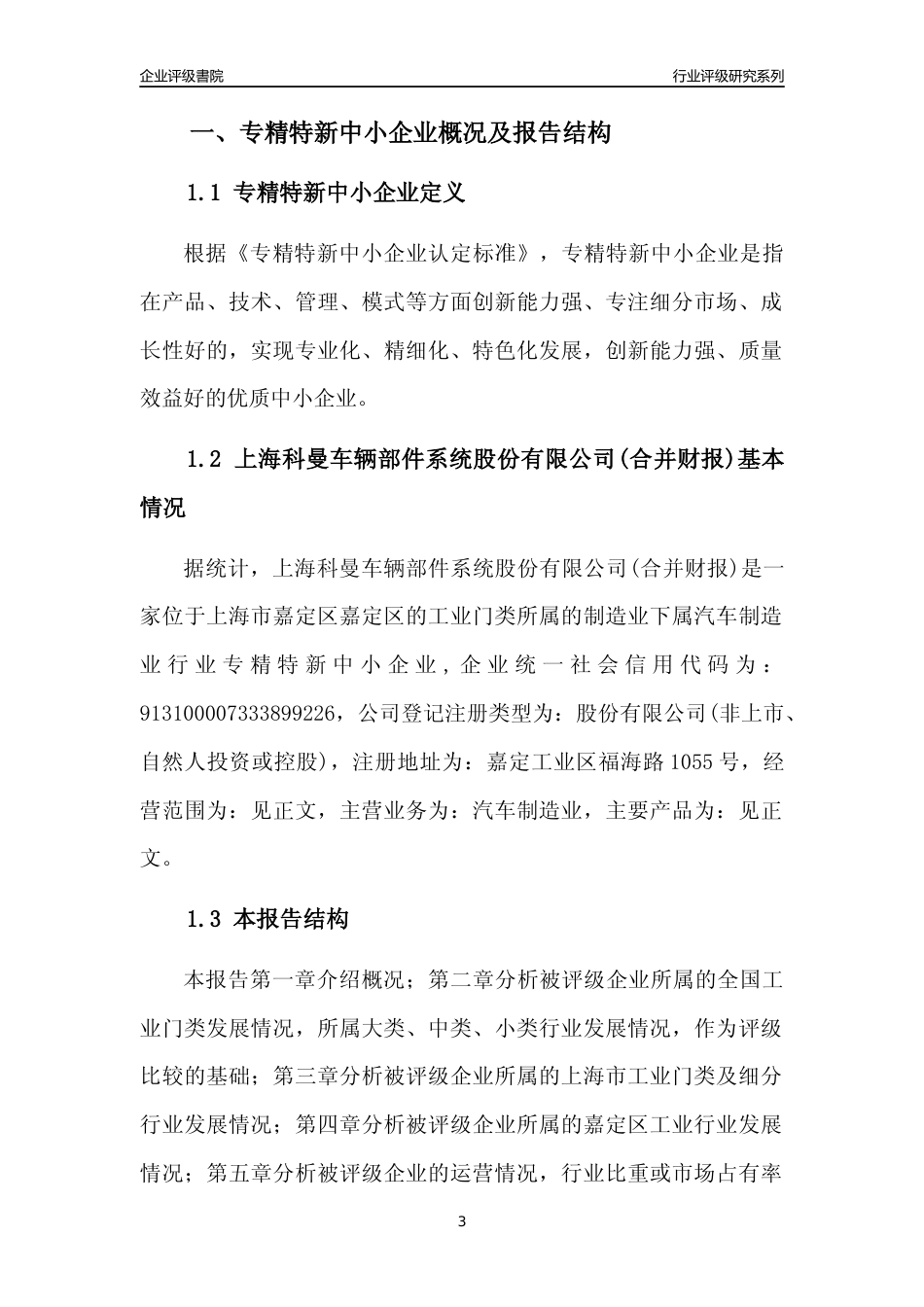 [专精特新]上海科曼车辆部件系统股份有限公司(合并财报)行业竞争力评级分析报告(2023版)_第3页