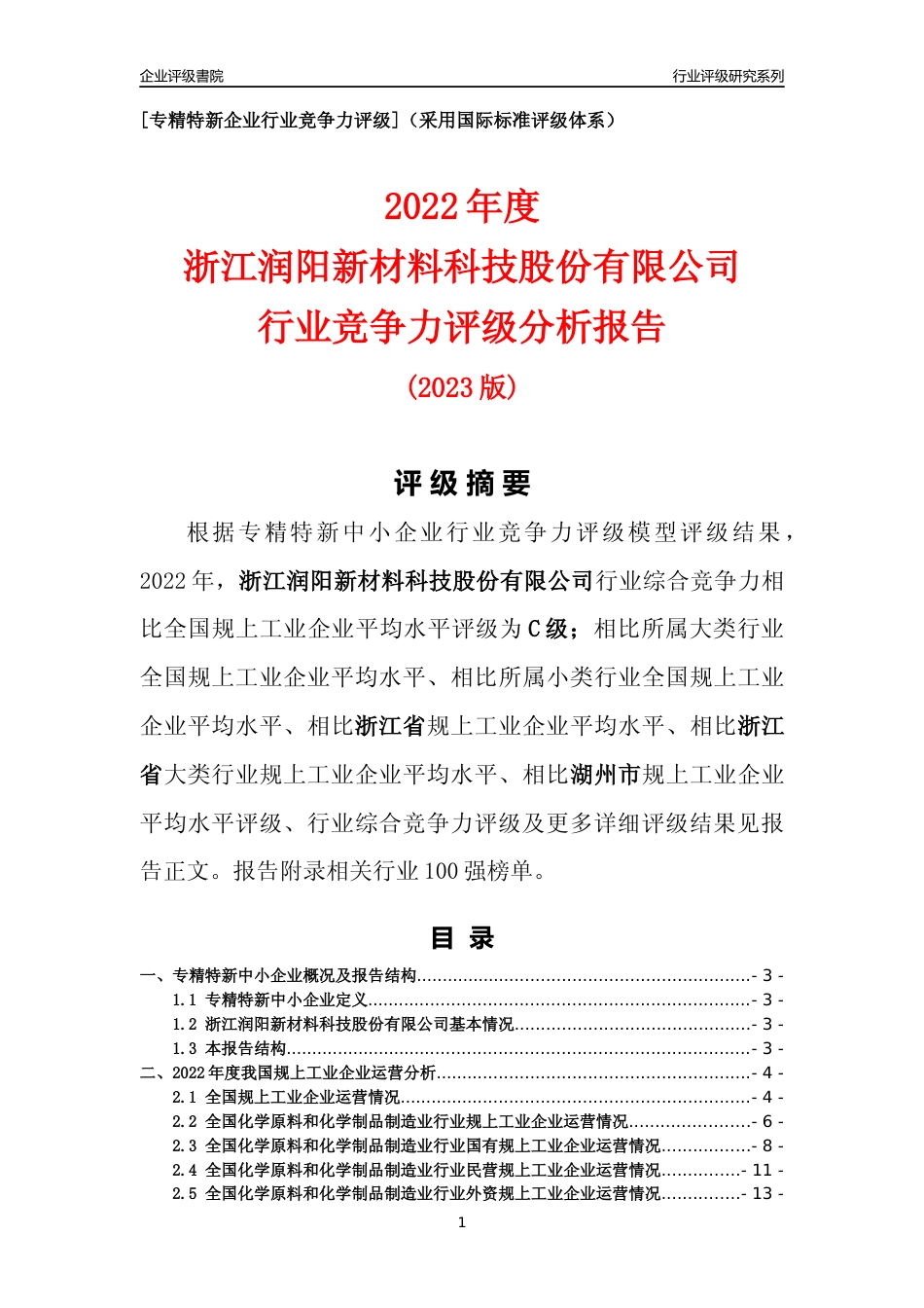 [专精特新]浙江润阳新材料科技股份有限公司行业竞争力评级分析报告(2023版)_第1页