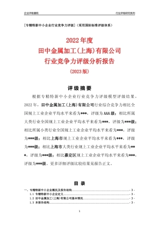 [专精特新]田中金属加工(上海)有限公司行业竞争力评级分析报告(2023版)