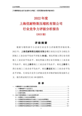 [专精特新]上海优耐特斯压缩机有限公司行业竞争力评级分析报告(2023版)