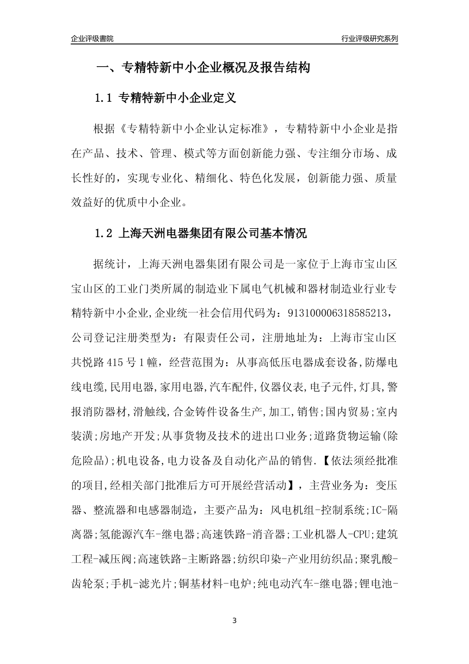 [专精特新]上海天洲电器集团有限公司行业竞争力评级分析报告(2023版)_第3页