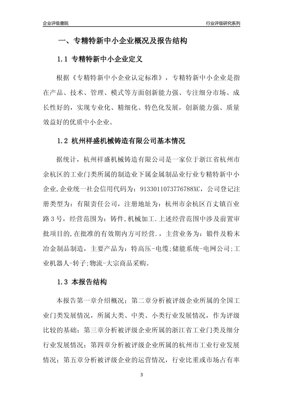[专精特新]杭州祥盛机械铸造有限公司行业竞争力评级分析报告(2023版)_第3页