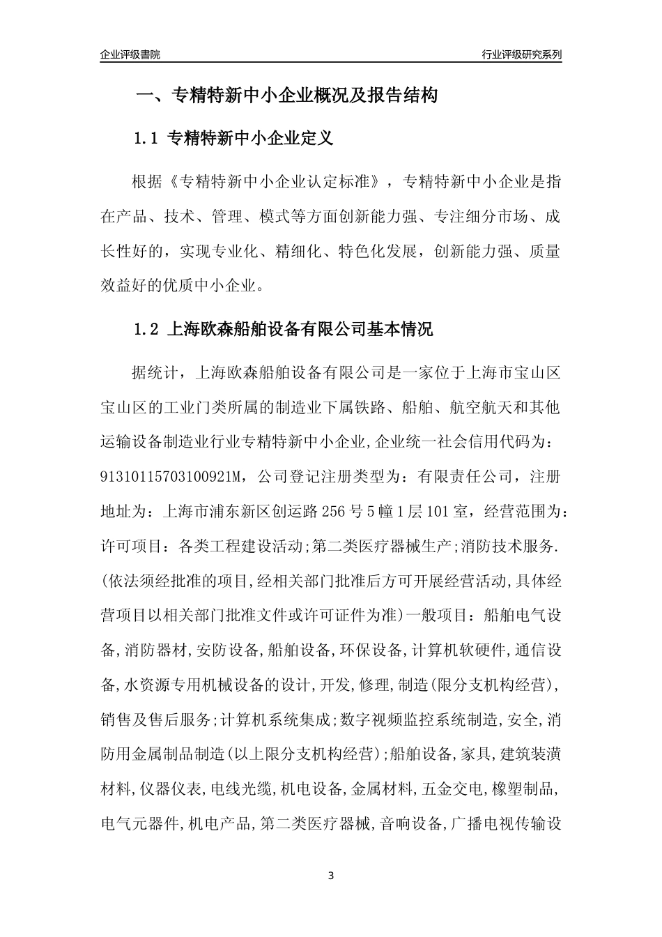 [专精特新]上海欧森船舶设备有限公司行业竞争力评级分析报告(2023版)_第3页