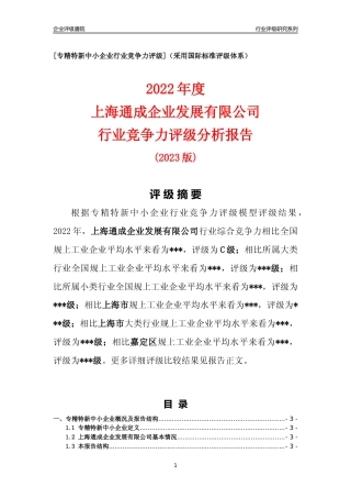 [专精特新]上海通成企业发展有限公司行业竞争力评级分析报告(2023版)
