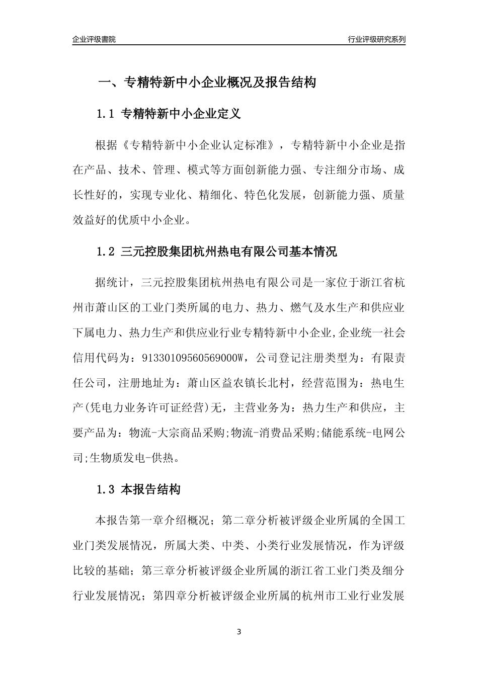 [专精特新]三元控股集团杭州热电有限公司行业竞争力评级分析报告(2023版)_第3页
