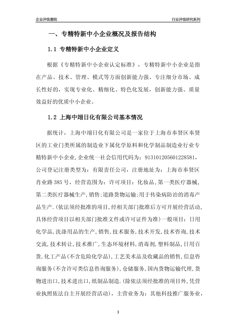 [专精特新]上海中翊日化有限公司行业竞争力评级分析报告(2023版)_第3页