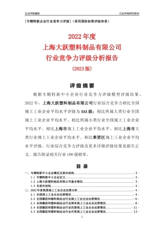 [专精特新]上海大跃塑料制品有限公司行业竞争力评级分析报告(2023版)