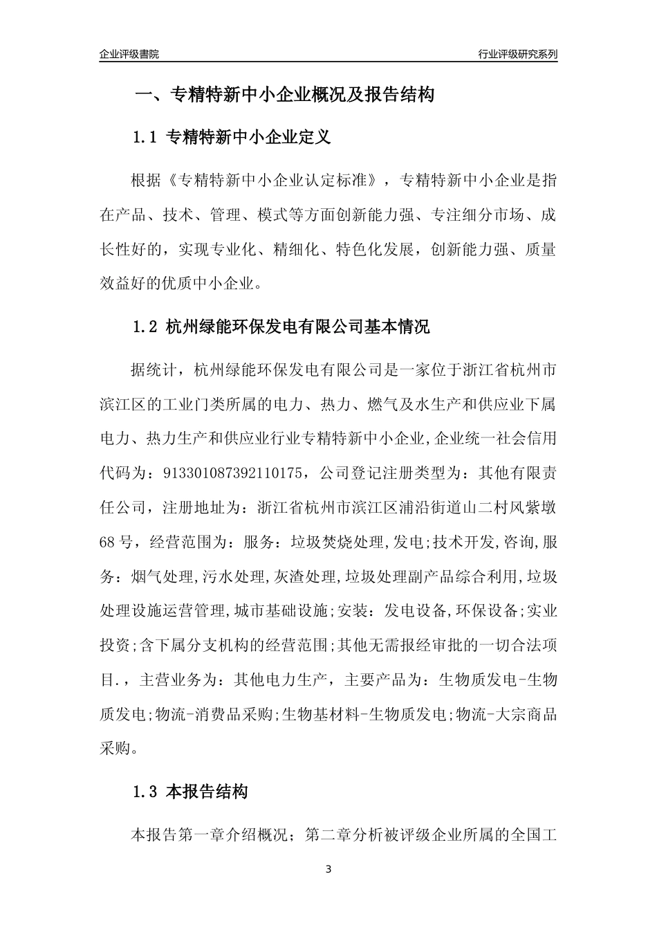 [专精特新]杭州绿能环保发电有限公司行业竞争力评级分析报告(2023版)_第3页