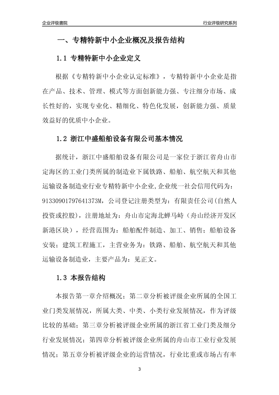 [专精特新]浙江中盛船舶设备有限公司行业竞争力评级分析报告(2023版)_第3页