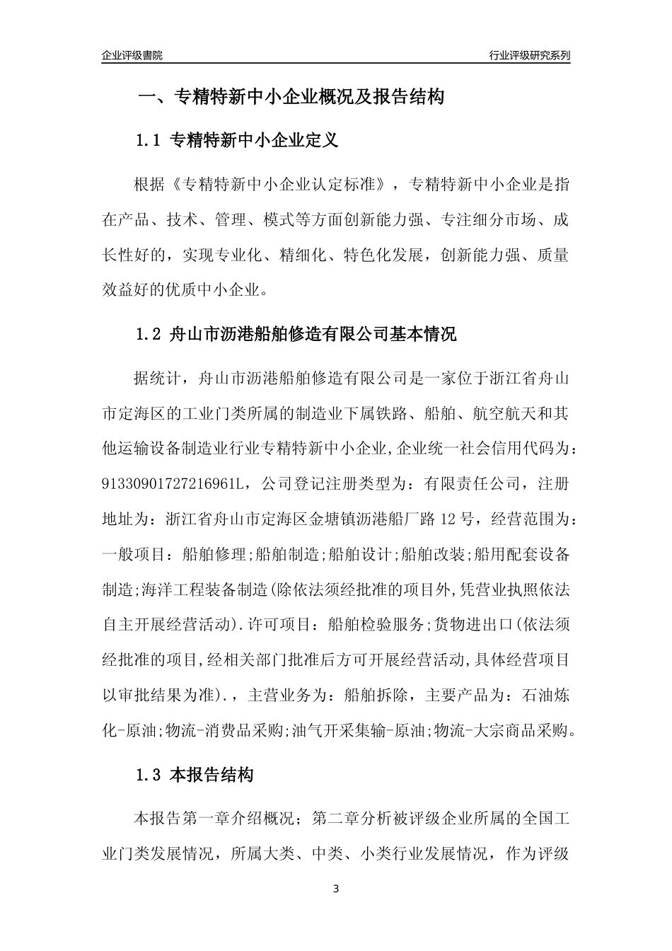 [专精特新]舟山市沥港船舶修造有限公司行业竞争力评级分析报告(2023版)_第3页