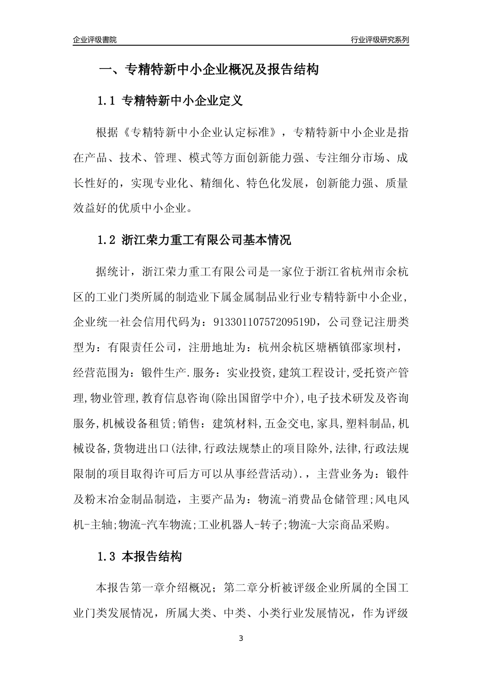 [专精特新]浙江荣力重工有限公司行业竞争力评级分析报告(2023版)_第3页
