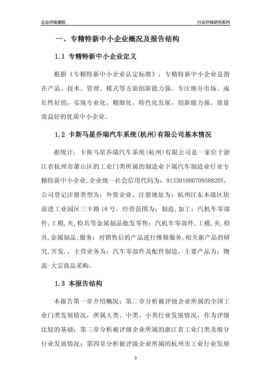 [专精特新]卡斯马星乔瑞汽车系统(杭州)有限公司行业竞争力评级分析报告(2023版)_第3页