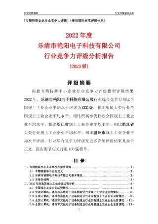 [专精特新]乐清市艳阳电子科技有限公司行业竞争力评级分析报告(2023版)