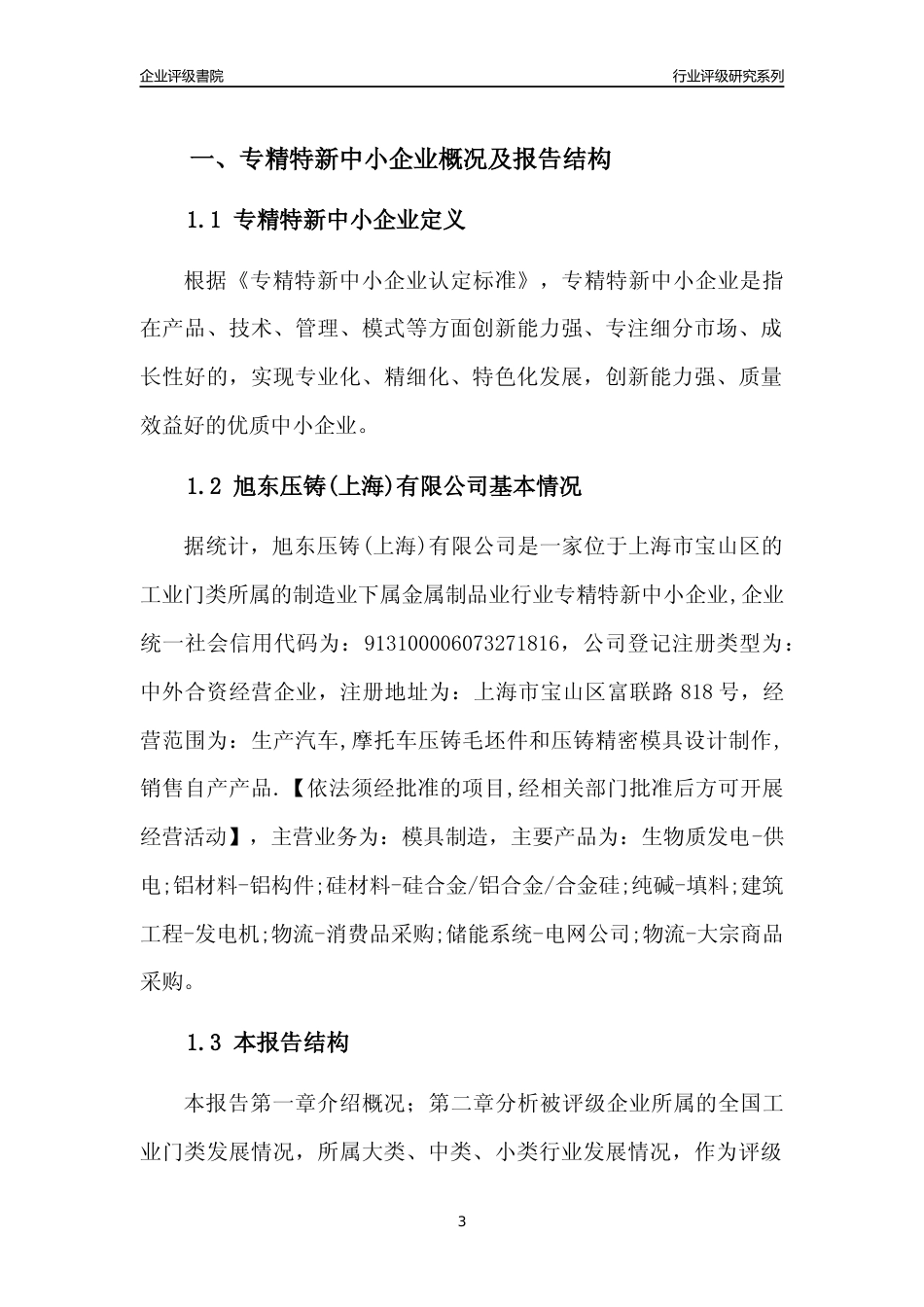 [专精特新]旭东压铸(上海)有限公司行业竞争力评级分析报告(2023版)_第3页