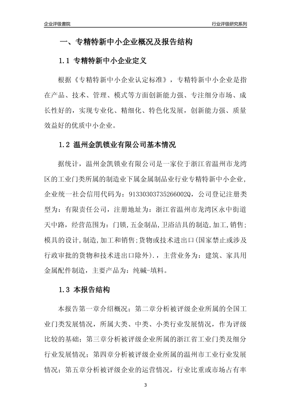 [专精特新]温州金凯锁业有限公司行业竞争力评级分析报告(2023版)_第3页