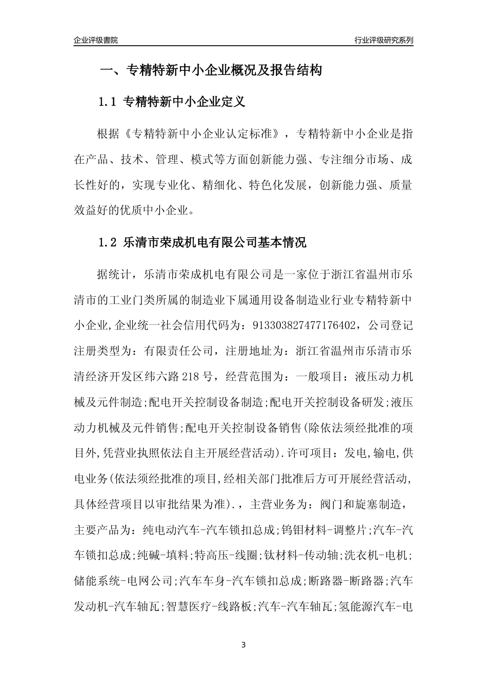 [专精特新]乐清市荣成机电有限公司行业竞争力评级分析报告(2023版)_第3页