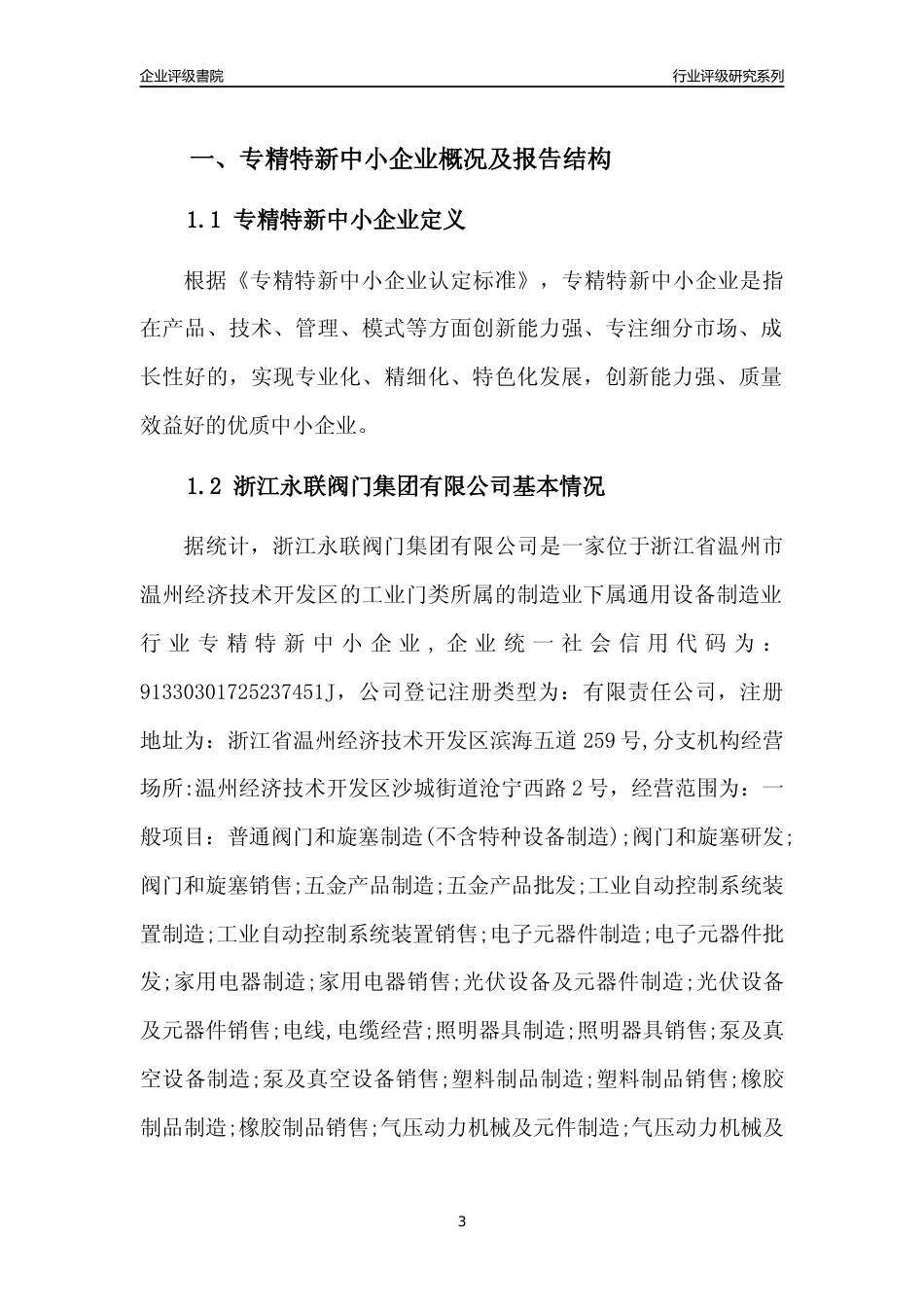 [专精特新]浙江永联阀门集团有限公司行业竞争力评级分析报告(2023版)_第3页