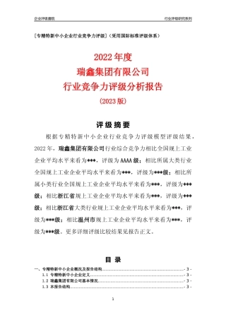 [专精特新]瑞鑫集团有限公司行业竞争力评级分析报告(2023版)