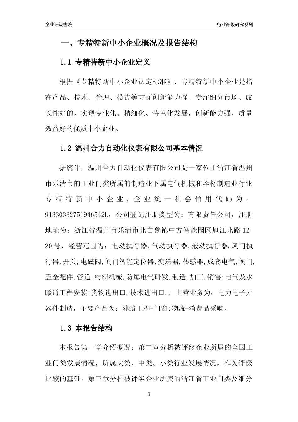 [专精特新]温州合力自动化仪表有限公司行业竞争力评级分析报告(2023版)_第3页