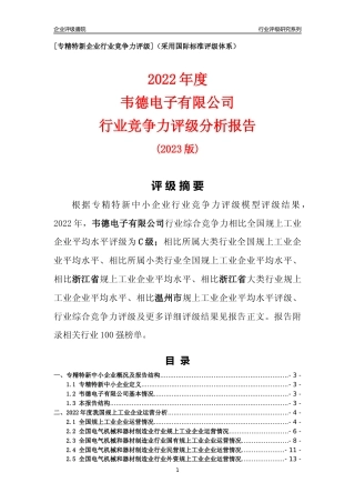 [专精特新]韦德电子有限公司行业竞争力评级分析报告(2023版)